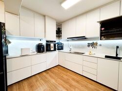 Blk 875B Tampines Greenbloom (Tampines), HDB 4 Rooms #524891231